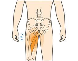 How to relieve groin pain. Groin Pain During Or After Running Runtothefinish