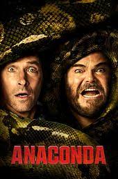 Complete our survey and win yourself some Electric Picnic tickets!