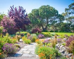 Water only when the plants are significantly dry and do not fertilize. Landscaping With Lavender 7 Garden Design Ideas