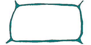 Check spelling or type a new query. Remix Of Plant Cell Parts