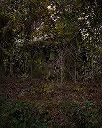 Mitchell Hurst — Aviary Gallery