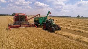 Tianren corn heads for sale | agricu… written by alice wednesday, march 24, 2021 edit Agretto Agricultural Machinery Mail Daryl Shelton Talks Culture Transparency Development Agretto Agricultural Industrial Machineries Co Rita Rossow