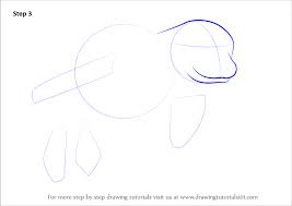 Drawing ideas and projects for kids ]. Learn How To Draw A Hawaiian Monk Seal Seals Step By Step Drawing Tutorials