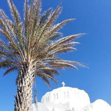 At Fira Yesterday Abmtravelbug Mytinyatlas Santorini Fira Palmtree Annasterntalergreece Fair Grounds Grounds Travel