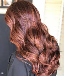 Here S How To Get Cinnamon And Chestnut Highlights On Dark Hair Dark Hair With Highlights Light Hair Color Brown Hair With Highlights