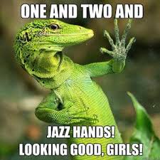 Quickmeme The Funniest Page On The Internet Animals Lizard Reptiles