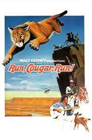 Can a tiger kill a human? Run Cougar Run 1972 Movie Where To Watch Streaming Online Plot