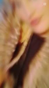 I found this amazing template in CapCut. Tap the link to try it out!  https://www.capcut.com/tv2/ZSfMQDjvy/