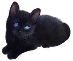 Black Cat Clipart Animated Pictures Cat Clipart Cats Animals