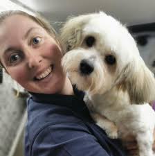 Dial A Dog Wash South Dublin