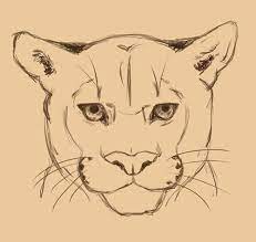 This one is an analysis of how to construct a puma in a particularly difficult orientation. How To Draw A Puma Life Design Animal Drawings Drawings Animal Sketches