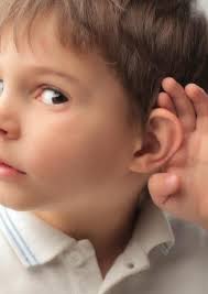 rediseÑo del sistema grÁfico de tarjetas de estudio (bits de inteligencia)  para niÑos de 4 a 5 aÑos con discapacidad auditi