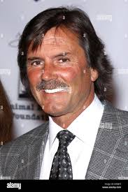 Tony dennis hi-res stock photography and images