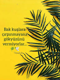 Guzel Soz Panosundaki Pin