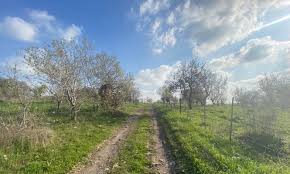 ارتفاع تدريجى فى #درجات_الحراره تصل إلى 40 درجة الأحد المقبل #الطقس للتفاصيل ارتفاع شديد فى #درجات_الحراره حتى الإثنين. Ø­Ø§Ù„Ø© Ø§Ù„Ø·Ù‚Ø³ Ø£Ø¬ÙˆØ§Ø¡ Ø¨Ø§Ø±Ø¯Ø© Ø±ØºÙ… Ø§Ø±ØªÙØ§Ø¹ Ø¯Ø±Ø¬Ø§Øª Ø§Ù„Ø­Ø±Ø§Ø±Ø© Ù…Ø­Ù„ÙŠØ§Øª Ø¹Ø±Ø¨ 48