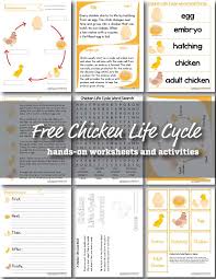 I have a pinterest board with all chicken crafts, life cycle works, science experiment, and unit study. Free Chicken Life Cycle Worksheet Activities Free Homeschool Deals C