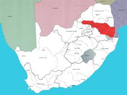 Image result for Aloe pienaarii