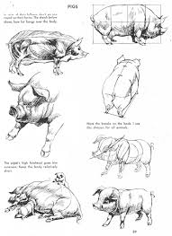 船優學網 ppt 下載 ⭐ わくわくコスプレイヤー vol45 1. The Art Of Animal Drawing By Ken Hultgren Animal Drawings Animal Sketches Pig Art