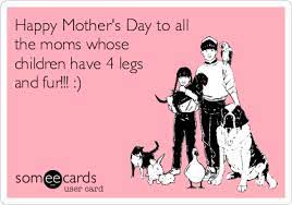 Whether you are celebrating a mom, daughter, sister aunt, a motherly figure, or someone who has been there for you always, mother's just pick up the phone and tell them how much you appreciate them! Happy Mother S Day To All The Moms Whose Children Have 4 Legs And Fur Dog Mothers Day Funny Mothers Day Happy Mothers