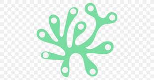 Algae Vector Graphics Clip Art Seaweed Png 1200x630px Algae Algal Bloom Cladophora Green Green Algae Download Polish your personal project or design with these seaweed transparent png images, make it even more personalized and more. algae vector graphics clip art seaweed