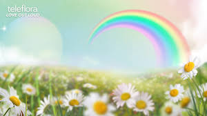 Bring The Outdoors In With Virtual Zoom Backgrounds From Teleflora Teleflora Blog Download and use 10,000+ flower background stock photos for free. virtual zoom backgrounds from teleflora