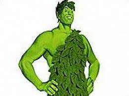 Jolly Green Giant By The Kingsmen Song Images