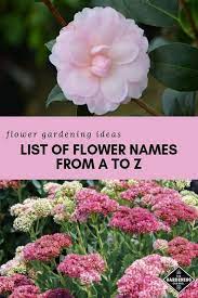 List Of Flower Names From A To Z Gardening Channel Flowers Name List Flower Names List Of Flowers