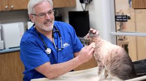 Match made on care.com every 3 minutes, so find your perfect pet care provider today. Veterinarian In Costa Mesa Ca 92627 Newport Mesa Animal Hospital