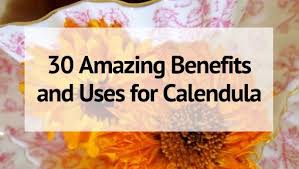 Read on to learn how to benefit safely. Calendula 30 Amazing Benefits And Uses