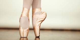 What S The Deal With The Pro Flex Es Bestpointe Com The Ballet Experts Bestpointe Com The Ballet Experts