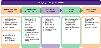 Psychological Injury Management Pim