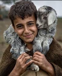 The Teachings of Rupert Spira