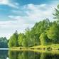 Trees for Halton Hills tree planting event event image