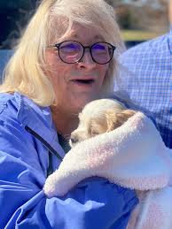 Lady K Cocker Spaniels