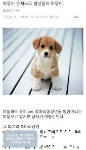 사랑스러운 여고생 강아지 〖부드러운 귀여운 토끼 소스〗 하얀 실크 소녀 속박 컨디셔닝, 요실금에 시원한 작은 년 항문 풀 구슬! 나는  몇 번 섹스 한 적이 없습니다. - AVJB