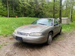 Image result for Forest Green 1995 Fleet