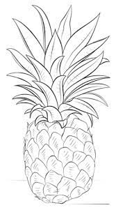 Free printable pineapple coloring pages. Pineapple Coloring Page Free Printable Coloring Pages Drawings Pineapple Drawing Easy Drawings