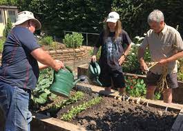 Nature S Way Gardening After Brain Injury Headway