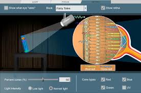 We did not find results for: Eyes And Vision 3 Sensing Light Gizmo Lesson Info Explorelearning