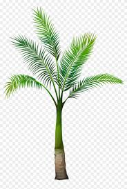 Palm tree png you can download 28 free palm tree png images. Palm Tree Png Image Palm Tree Transparent Background Png Download 3714x5140 321808 Pngfind
