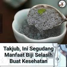 We did not find results for: Resep Simboke Manfaat Biji Selasih Untuk Kesehatan Facebook