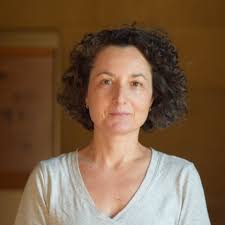 Pedagogy Fellows Program