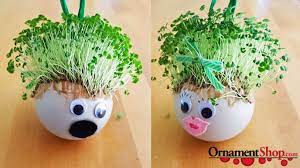 Grow Your Own Chia Pet A One Of A Kind Diy Ornament Chia Pet Chia Pet Seeds Seed Craft