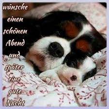 Maybe you would like to learn more about one of these? Gute Nacht Bilder Mit Hund Gb Bilder Gb Pics Gastebuchbilder