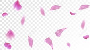 Pink sakura petals falling flower vector background. Red Sakura Petals Falling Down Isolated Vector Illustration Royalty Free Cliparts Vectors And Stock Illustration Image 111301838