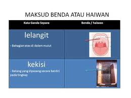 Gambar lucu emang selalu bisa jadi mood booster, apalagi kalau dibagikan di grup wa. 8 06 Mb Kata Ganda Jenis Dan Contoh Ayat Download Lagu Mp3 Gratis Mp3 Dragon