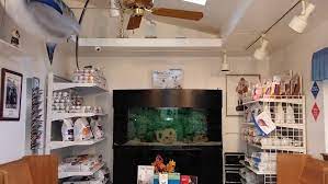 Check spelling or type a new query. Polo Road Animal Hospital Veterinarian In Grand Prairie
