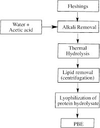 Wealth From Waste Beef Extract For Microbiological Media