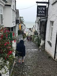 Clovelly — original name in latin clovelly name in other language clovelly state code au continent/city australia/sydney longitude 33.9125 latitude 151.25 altitude 50 population 4428 date. Clovelly Devon Casualuk