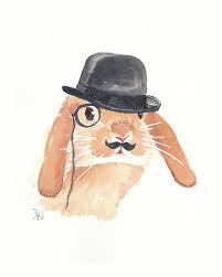 Patterns for making these hats at home range from very easy a fedora, or tyrolean, is a soft felt men's hat with a brim and a vertically folded crown. Rabbit Hat Drawing Drawing Skill